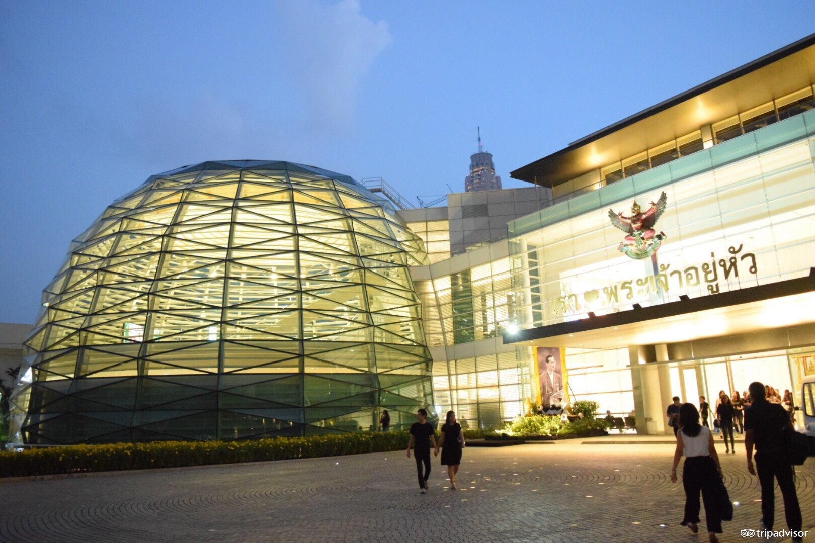 免税店双十一有优惠活动吗,红包折扣