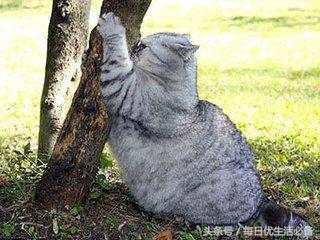 冬天拒绝臃肿瑜伽塑形,冬天拒绝身材臃肿