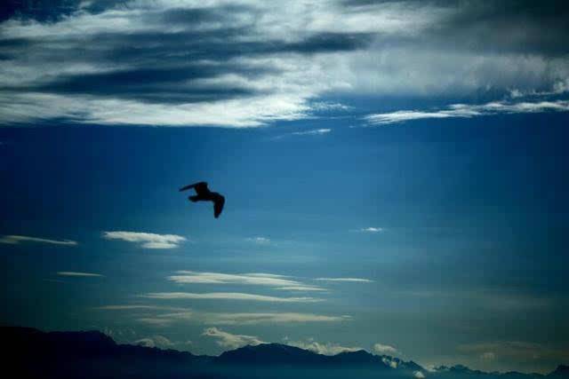 三十而立的人生感悟,三十而立的你都是什么样的