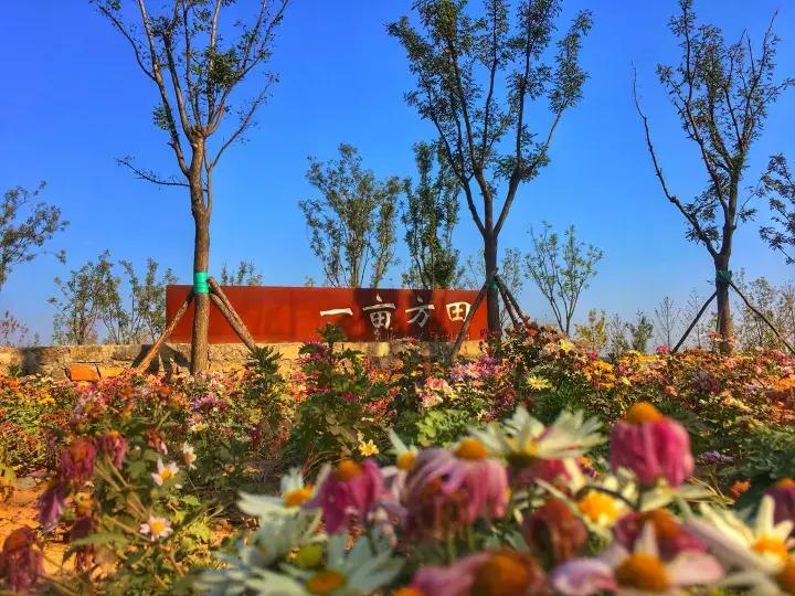 一样的乡愁,一样的乡愁原唱是谁