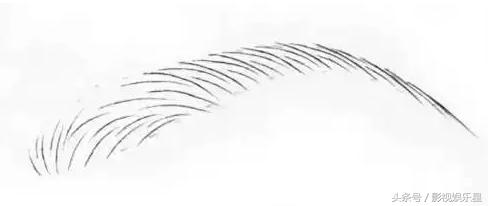 不要随便修眉毛,修眉毛都有哪些眉形