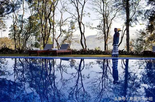 罗莱夏朵在中国性价比最高的酒店,国内的罗莱夏朵酒店