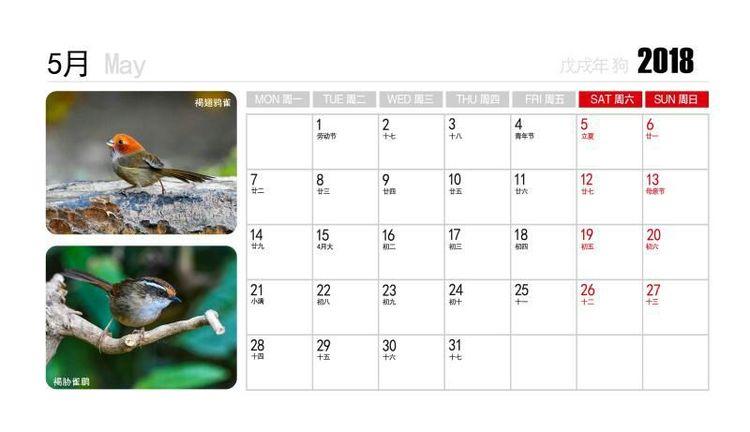 2018年鸟趣日历,太精美了,人手一份,值得收藏!