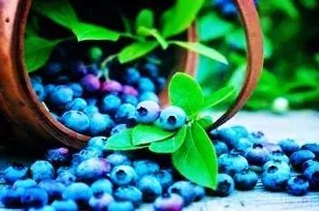 青岛最美地铁,青岛最美九大风景区