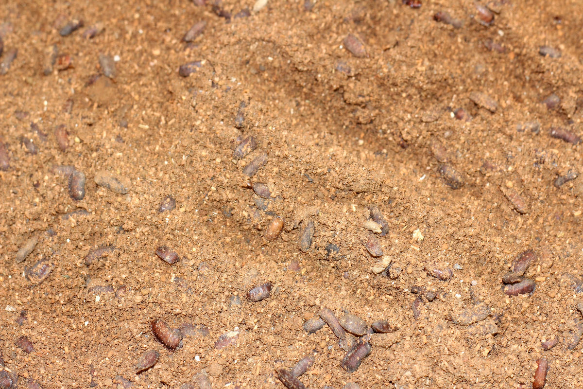 小白如何快速网赚,零基础操作的推广赚钱方法