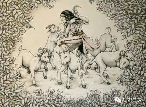 充满花香的西达摩—90+Ninetyplus花语