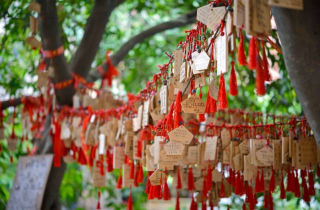 深圳，对不起我要去广州了！别再找我......