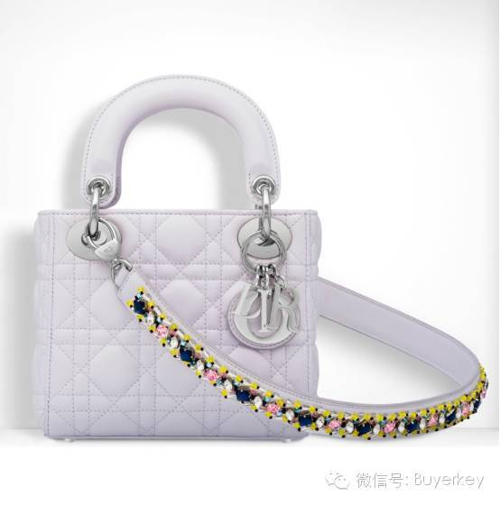 Dior 2016新款包包一个比一个美，都可以买到了！