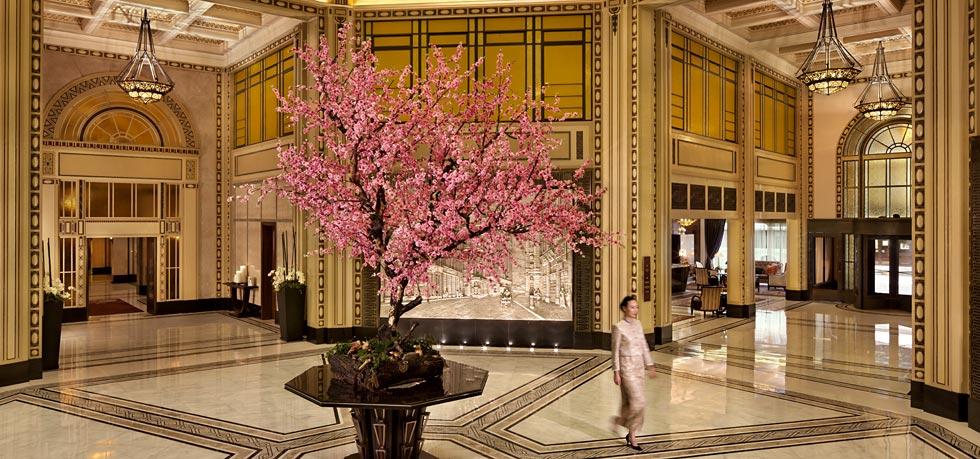 就为这些美哭了的酒店，攒钱也要去一趟