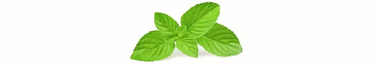 商业|她第一个给成都人带来精油和香氛,大家叫她“香香公主”