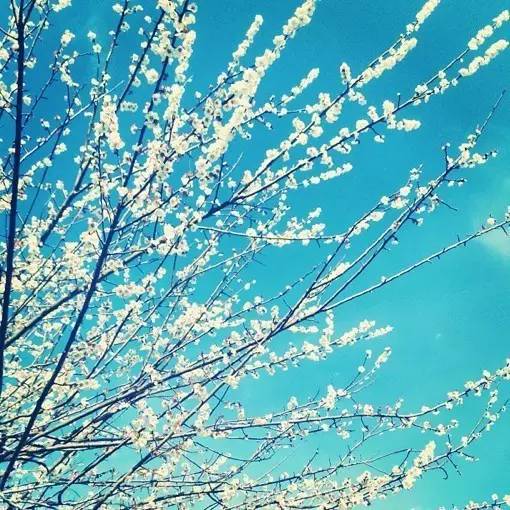 王国维人生三大境界书法,王国维人生三大境界什么意思