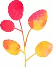 天津肾内科最好医院排名第一,天津人民医院肛肠科专家排名