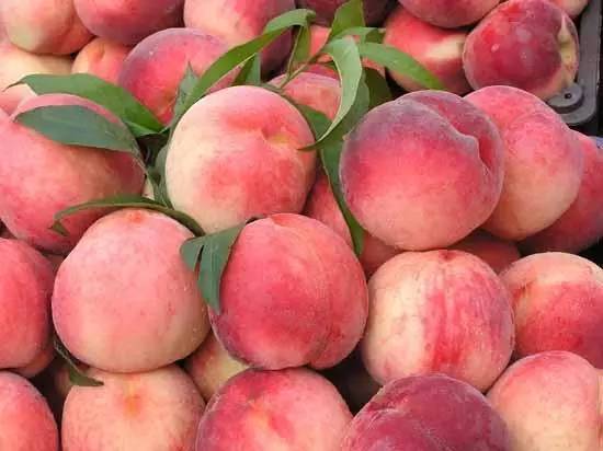 来南京就要买这些，别挑了选我！