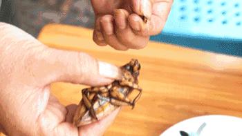 番禺区钟村南站,番禺钟村站