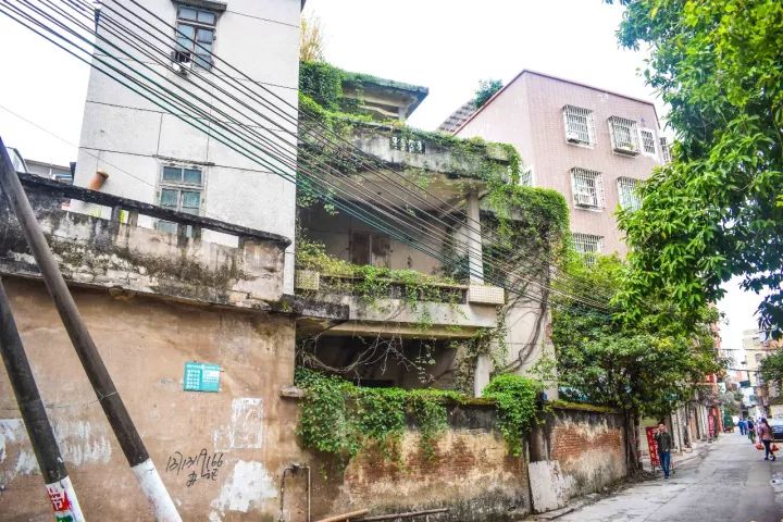 番禺区钟村南站,番禺钟村站