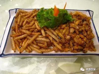 云南昆明可以吃的虫子,云南大虫子美食