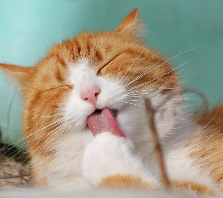 怎么塑造企业文化给顾客,如何塑造一个公司的企业文化