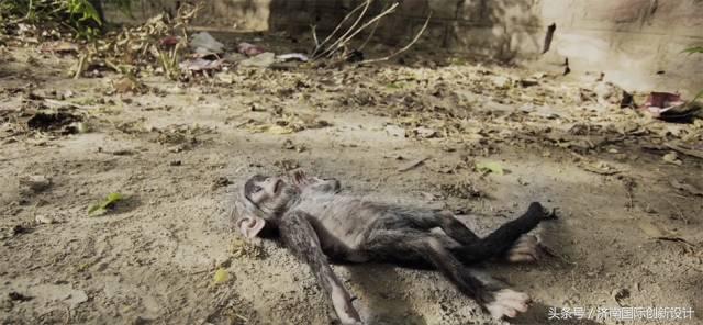 这34个间谍，每天只干一件事：*窥偷**！还拍成电影全球上映？