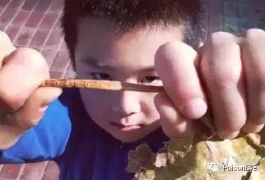 传承中华北京布鞋文化,传承老北京布鞋