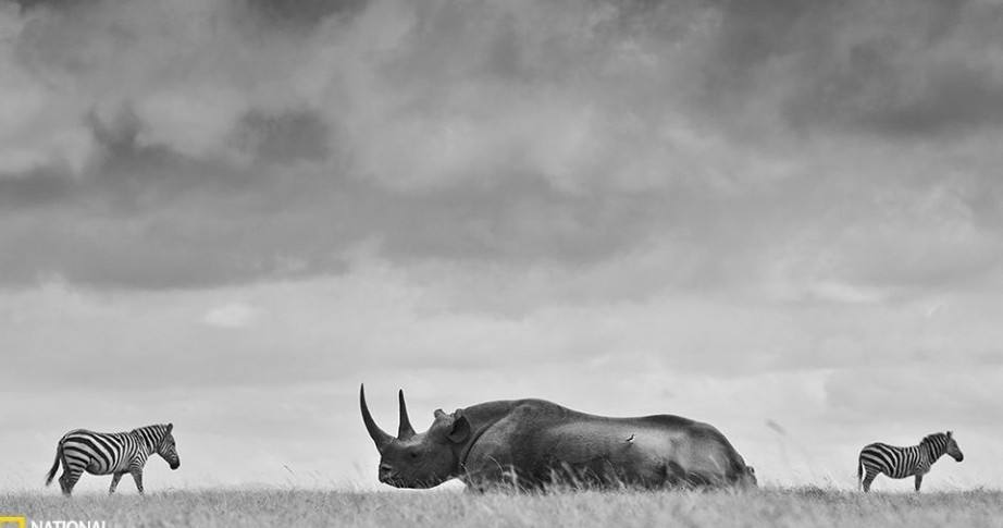 纽约时报全球50个必去之地,纽约时报最佳旅游省份