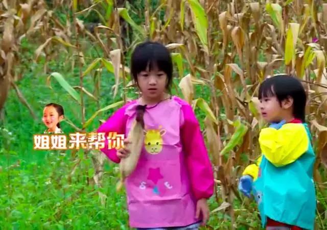 baby变身视频,顶级杀手变身超级奶爸