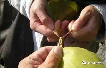 传承中华北京布鞋文化,传承老北京布鞋