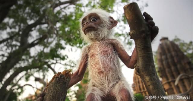 这34个间谍，每天只干一件事：*窥偷**！还拍成电影全球上映？