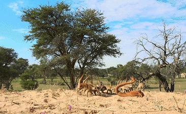 这34个间谍，每天只干一件事：*窥偷**！还拍成电影全球上映？