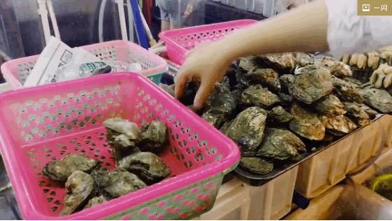 三亚必买10件礼物,三亚免税城购物攻略