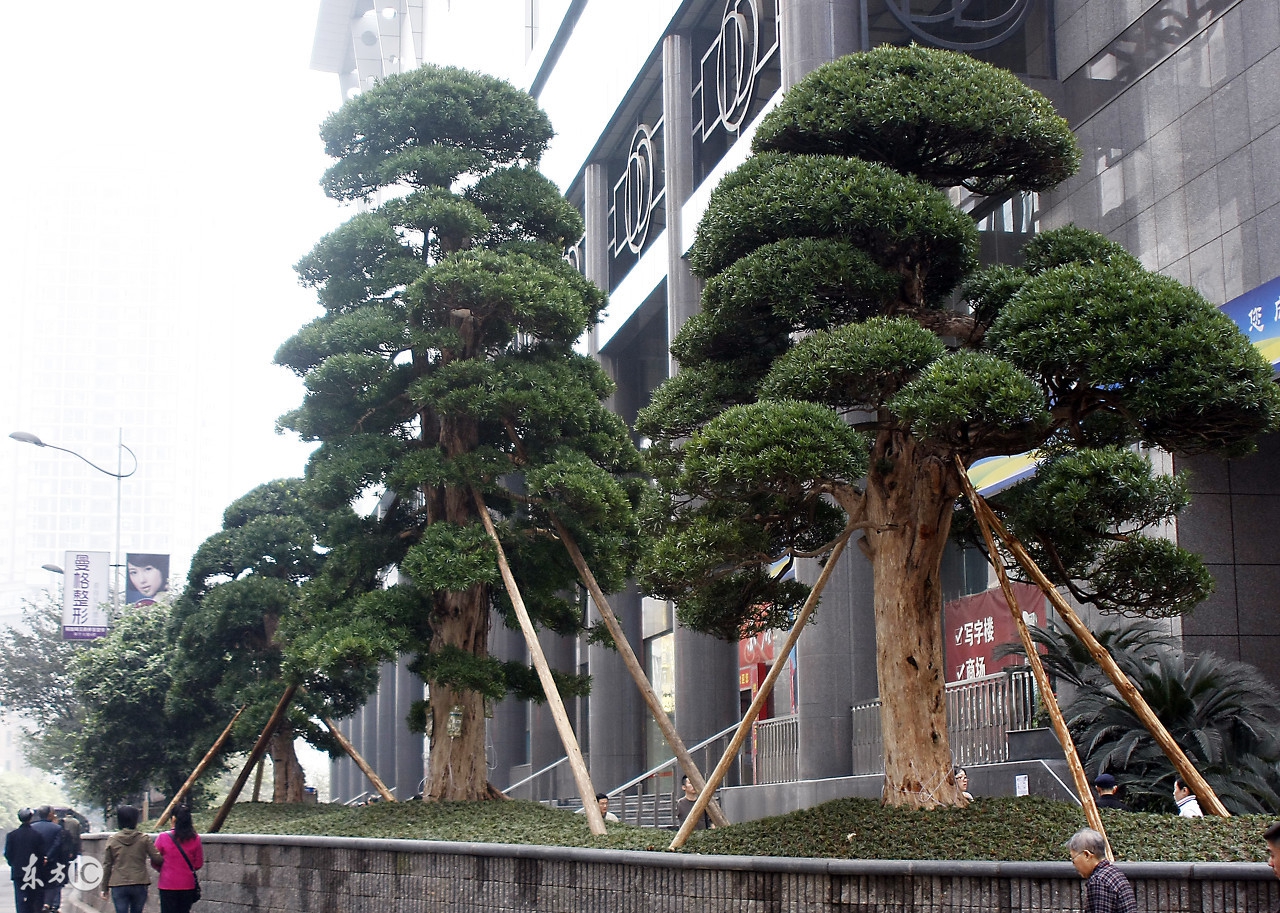 万元创业项目推荐2020,万元创业项目加盟排行榜