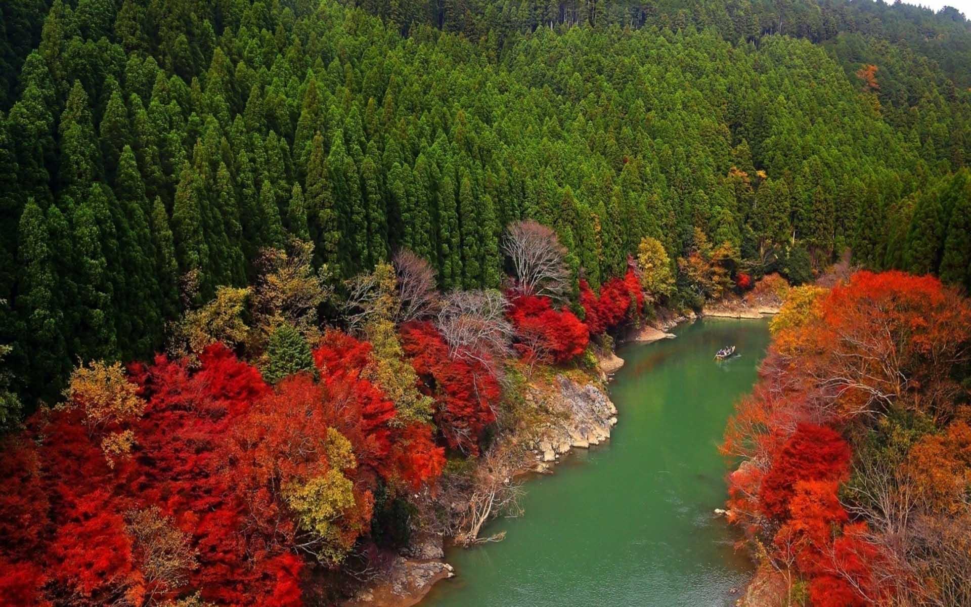 攒下人生的第一桶金,人品良心是一个人最珍贵的财富
