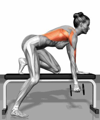 如何练出迷人蝴蝶背,美体美背计划