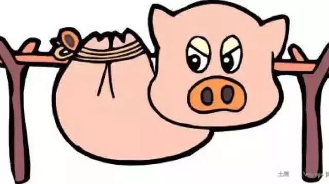 玳瑁猫最丑的猫,玳瑁猫长得好凶