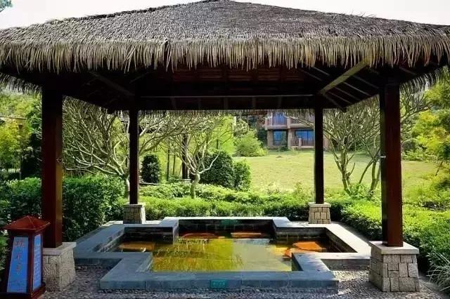 最新出炉的广东十大温泉排行榜,广东最好的隐奢温泉