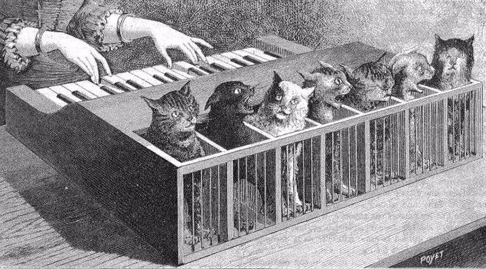 为什么精神病院会要用理疗仪,为啥精神病院要叫歌舞厅