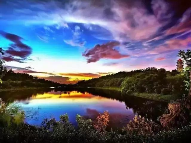 别再跟我说“母鸡”去哪玩！广州48个一日游免费景点推荐！