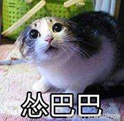 2016年网络流行语汇总,22年网络流行语汇总