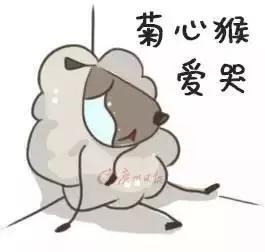 盘点潮汕人常用的口头语,盘点潮汕各个地区的口头禅