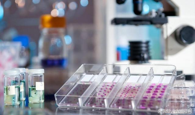 ivd应用领域分析,ivd产品知识