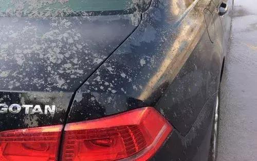 柏油清洗剂可以去除树胶鸟屎印吗,不伤车漆的去胶方法