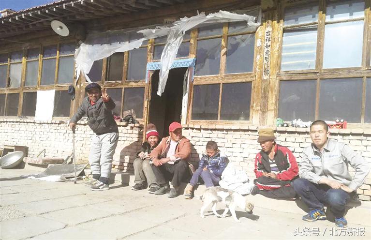 好样的！呼和浩特男子自费租下农家院常年照料多名流浪者