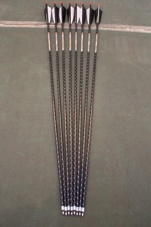 复合弓新手入门该知道的,复合弓的基础知识