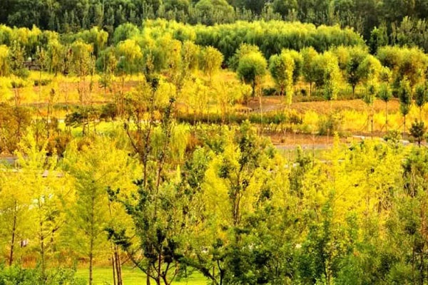 北京免费的湿地公园有哪些,北京又有山又有水的地方