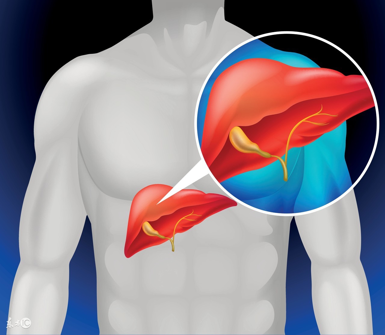 双环醇片降转氨酶效果是不是最好,降转氨酶服用双环醇片可以吗