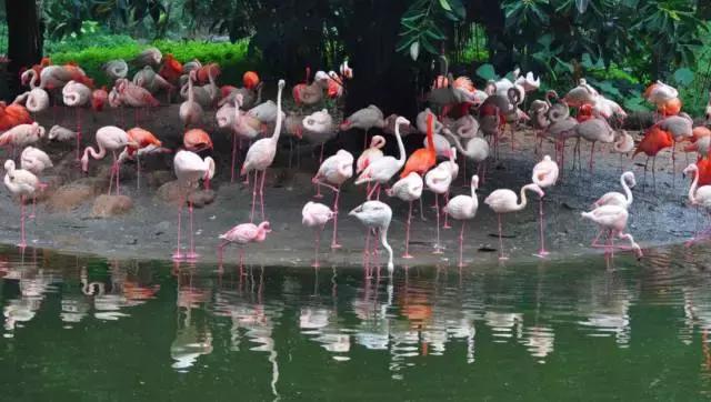 广州长隆游玩攻略最新,珠海长隆和广州长隆一起玩的攻略