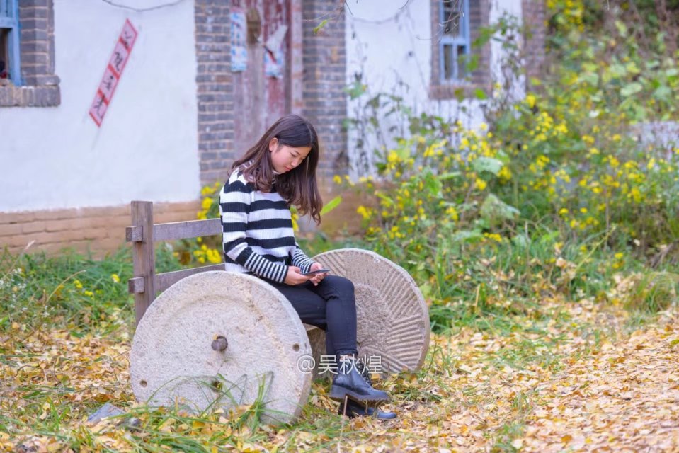 洛阳千年银杏林免费景点,洛阳有银杏叶的公园视频