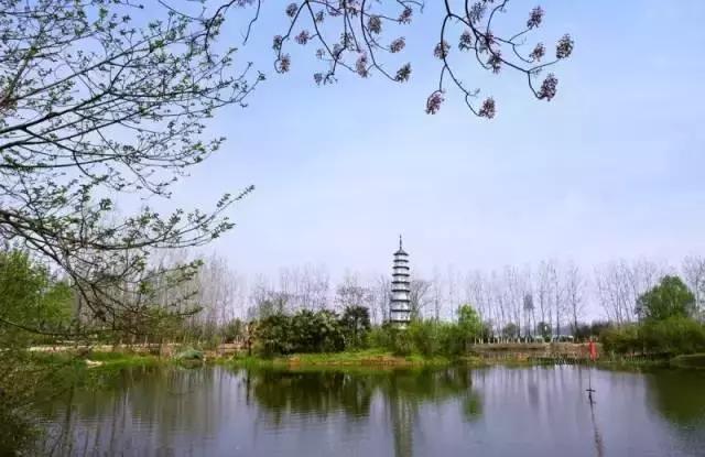 倒计时43天！武汉首条高富帅专列地铁下月就要通车啦！