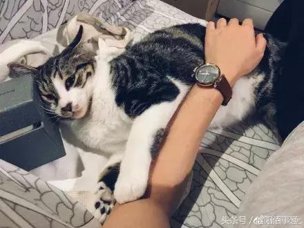 冷冷冷换季式降温来袭,冷冷冷今年首场寒潮将携暴雪来袭