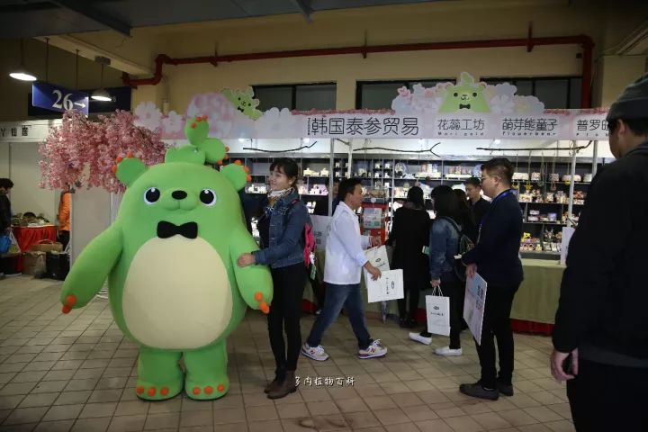 公认最美4种多肉植物图片,2014年上海多肉植物展图片