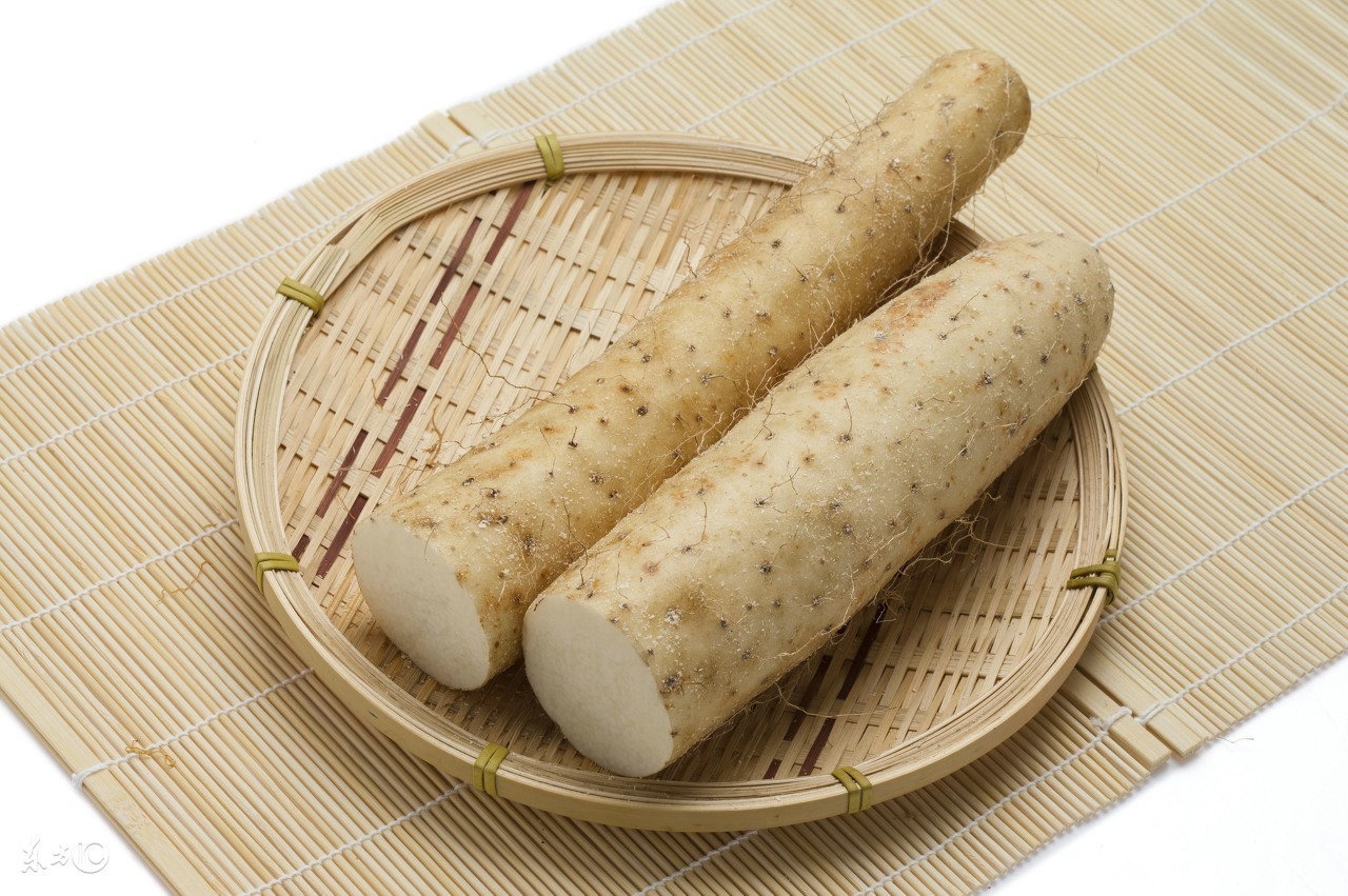 山药怎么保存不发芽,发芽的山药放大800倍还能吃吗